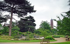 Kew Garden 