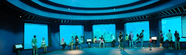sea aquarium marine life park resort world sentosa singapore (68)