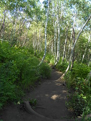 June 26, 2012 (Stewart Falls Trail)