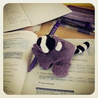 Raccoon busy studying. I need a name for this guy. :)