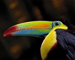 Costa Rica 2012