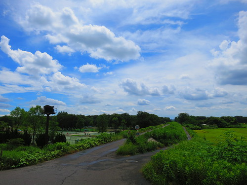 Akigase landscape