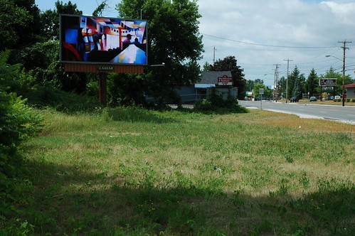 Albany Billboard Art Project 2012 - Julia Cocuzza (7)