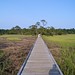 Hunting Island State Park 17
