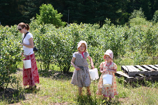berry picking - picture taken by Kevin