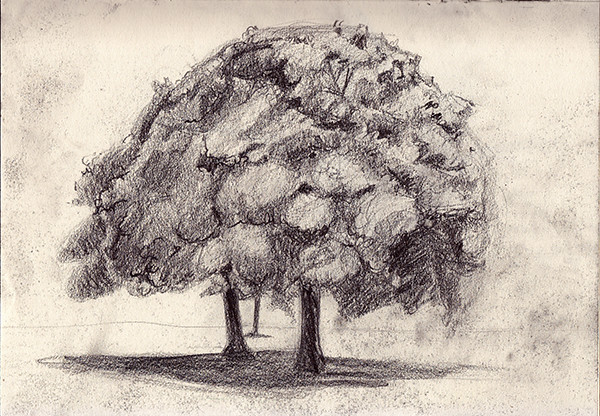Sketchbook_Tree