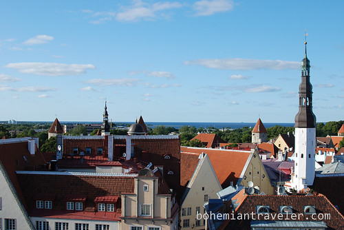 view from City Hall Tallinn (7)