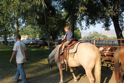 Olsen rides a pony, er, a horse