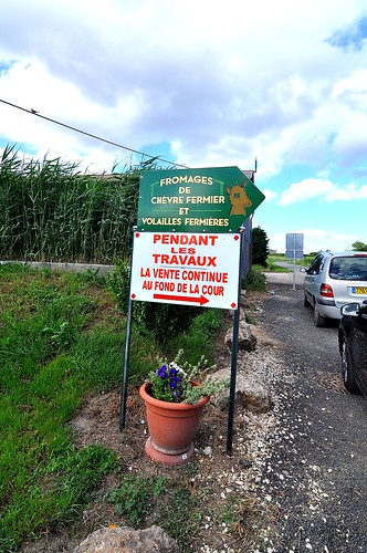 Fromages de Chevre Fermier - Loire Valley