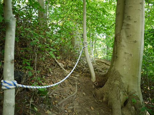 more rope guides