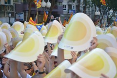 Diada Nacional de Catalunya | 2016