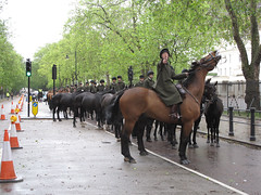 Horses in London