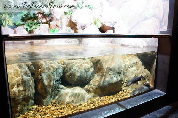 Singora Tram Tour - songkhla aquarium thailand