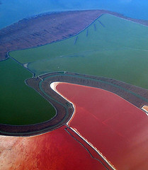 因藻類、微生物與豐年蝦生態演替所呈現的南灣鹽田多彩色澤（資料來源：維基百科，http://zh.wikipedia.org/wiki/File:Salt_ponds,_South_Bay,_SF.jpg）