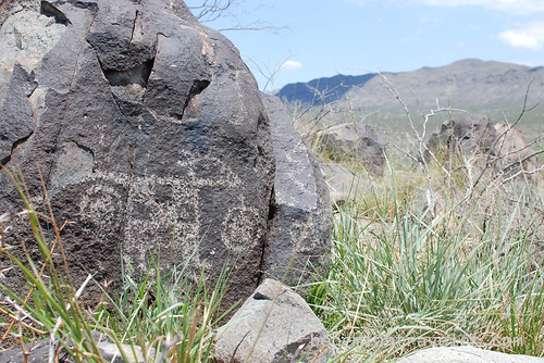 petroglyphs at three rivers Site New Mexico (9)