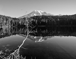 Reflection Lake Vista
(B&W)