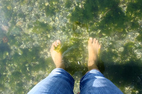 Seaweed Feet
