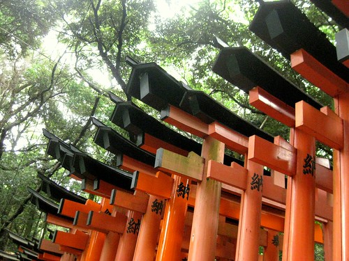 top of the torii