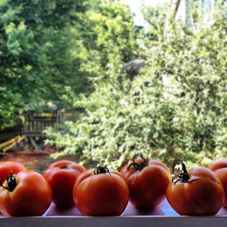 #tomatoes