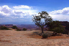 National Park - Canyonlands (2012)
