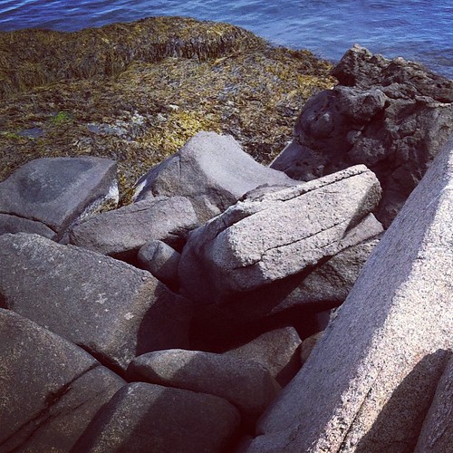 granite and rock weed on the Maine coast #maine #morning #nubblelight