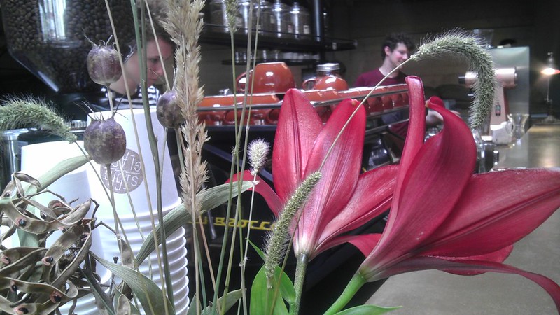 morning sightglass cafecito: flowers, great coffee y a pretty barista