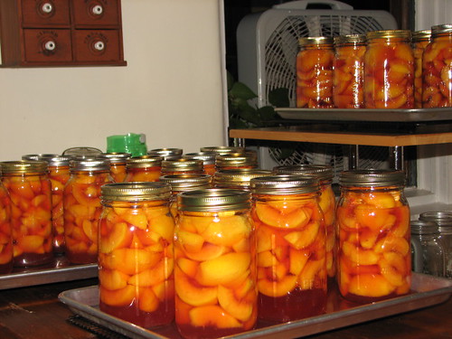 35 more quarts of peaches
