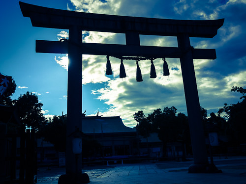 Toii of Ikukunitama Shrine by hyossie