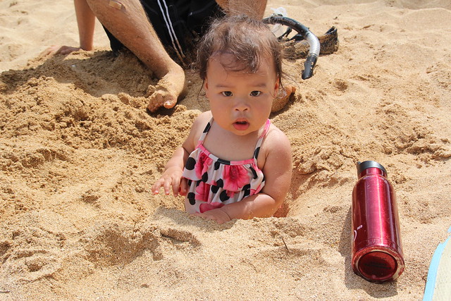 Mio getting buried in the sand.