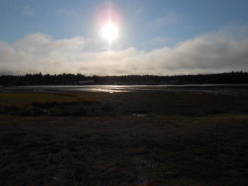 Coos Bay site 2