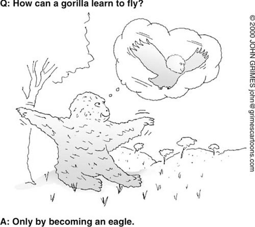 How can a gorilla learn to fly?