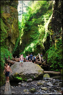 Hikers at the log jam - Oneonta Gorge