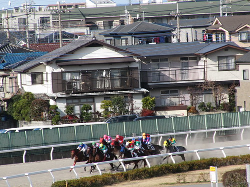 浦和競馬場　Urawa Race Course