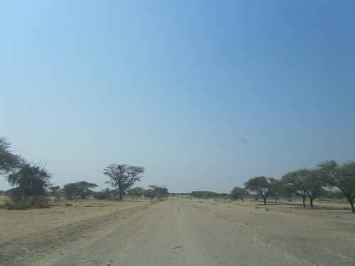 The road out into the bush