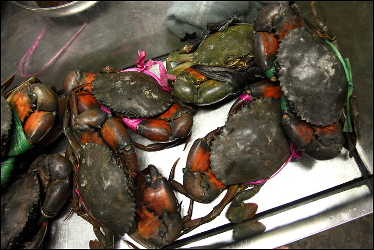 Big and Tasty Crabs @ B Lui Seafood, Kepong Baru