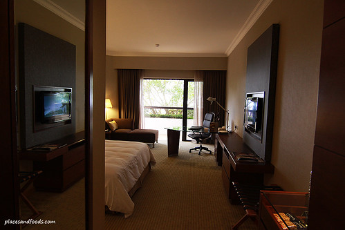 Equatorial hotel penang room reflection