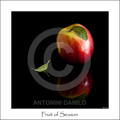 Frutta (Fruit)