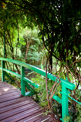 Closeup-green-bridge