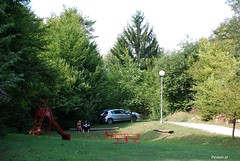 Pesniški piknik 2011