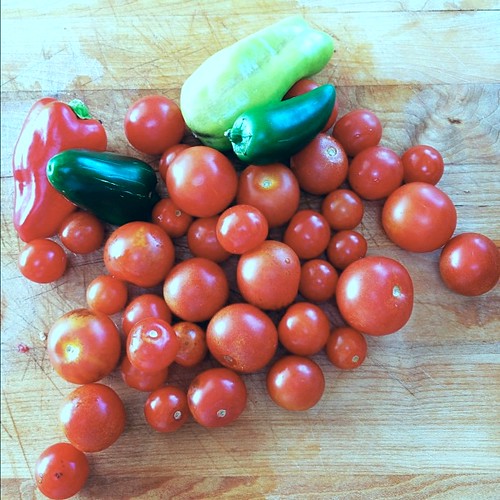 Home-grown Tomatoes
