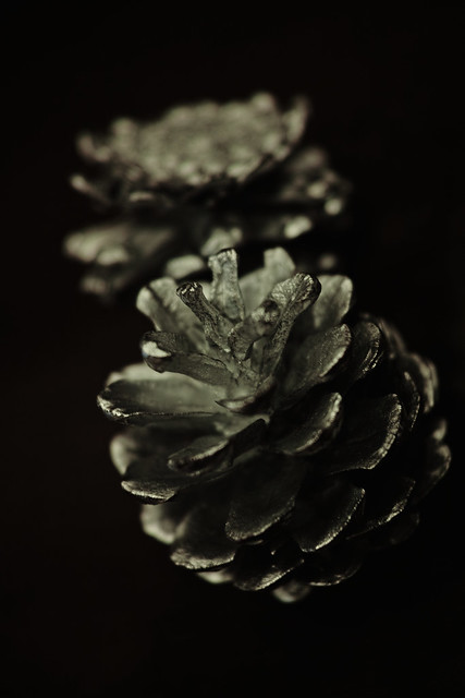 imagination of silver pinecone