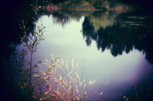 little pond - holga by elle.hanley