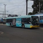 Ventura Bus Lines