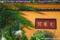 文殊院 Wenshu Monastery
