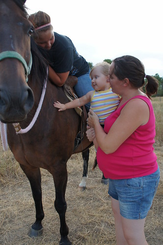 Evie petting the horse