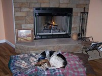 dolly, dog, fireplace, sleeping 