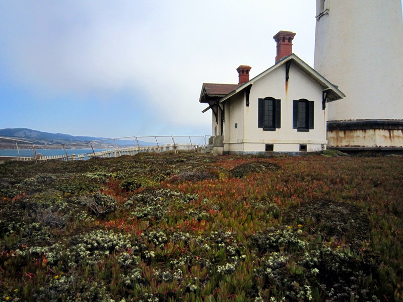 Pigeon Point Lighthouse || USA, CA Pigeon Point Lighthouse