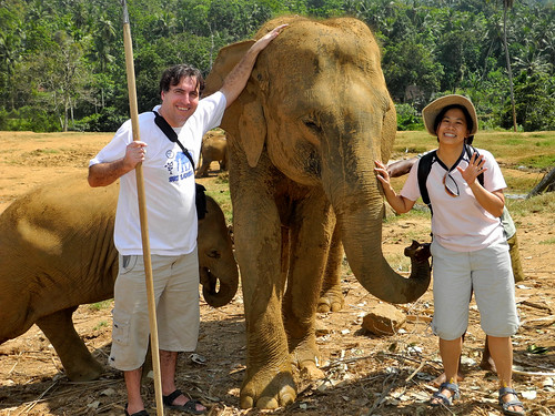 With the Elephant - Pinnawala