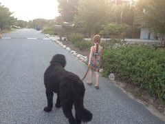 Dog walk by PrincessKaryn