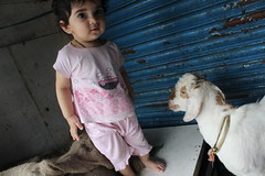 Nerjis Asif Shakir and the Bandra Goats by firoze shakir photographerno1